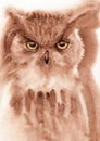 Owl closeup artwork portrait. Coffee and watercolor hand drawn on watercolour paper texture