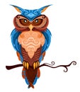 Owl colorful cute vector illustration