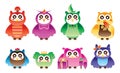 Owl colorful style set