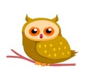 Owl so cute