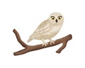 Owl. Cute owl in cartoon style is sitting on a tree branch. An owl on a branch. Vector illustration isolated on a white Royalty Free Stock Photo