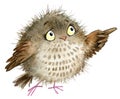 Owl. cute owl. school illustration. cartoon bird