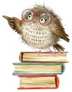 Owl. cute owl. watercolor forest bird. school books illustration. cartoon bird