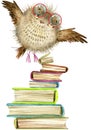 Owl. cute owl. watercolor forest bird. school illustration. cartoon bird