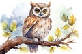 Feather cute bird eye nature wildlife background animal illustration wild brown tree owl Royalty Free Stock Photo