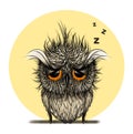 Owl Digital illustration.Sleepy bird.Hand Drawn Animal Drawing