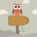 Owl on Direction Sign