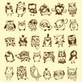 Owl Doodle Collection