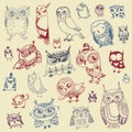 Owl Doodle Collection - hand drawn - vector