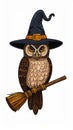 Owl Dressed As A Witch With Black Hat And Broom in A Pixel Art Style Isolated on White Background Royalty Free Stock Photo