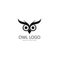 owl eye logo design template. Royalty Free Stock Photo