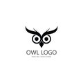 owl eye logo design template. Royalty Free Stock Photo