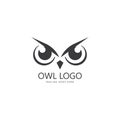 owl eye logo design template. Royalty Free Stock Photo