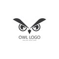 owl eye logo design template. Royalty Free Stock Photo