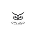 owl eye logo design template. Royalty Free Stock Photo