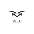 owl eye logo design template. Royalty Free Stock Photo