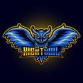 owl eyes fire angry flying animal mascot for sports and esports logo vector illustration Royalty Free Stock Photo