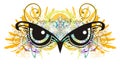 Owl eyes with floral elements splashes Royalty Free Stock Photo