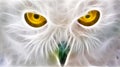 Owl Eyes Fractal