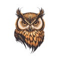 Owl face head vector design illustration for logo mascot t shirt design template Royalty Free Stock Photo