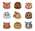 Owl faces. Cartoon feathered owls avatars, wild forest birds heads flat vector illustration on white background