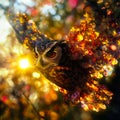 An owl in the fall leaves Royalty Free Stock Photo