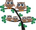 Owl family Royalty Free Stock Photo