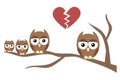 Owl Family Divorce