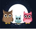 Owl family at night