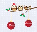 Owl Family Royalty Free Stock Photo