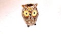 Owl fixture Royalty Free Stock Photo
