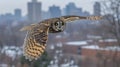 Owl in flight over city Royalty Free Stock Photo