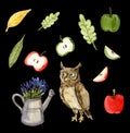 Owl and flowers, apples and leaves