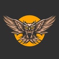 Owl fly on night over the moon vector illustration design Royalty Free Stock Photo