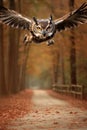 Owl flying head-on in forest with defocused bokeh for photography background