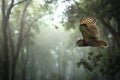 owl flying through misty forest, trees enveloping background Royalty Free Stock Photo