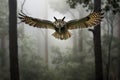 owl flying through misty forest, trees enveloping background Royalty Free Stock Photo