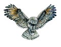 Owl flying with whide open wings, trying to catch something with its claws