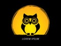 Owl front view graphic Royalty Free Stock Photo