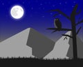 Owl and full moon