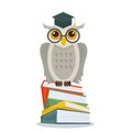 Owl with glasses and academic hat sitting on books stack. Owl on books isolated. Education concept with owl. Vector illustration. Royalty Free Stock Photo