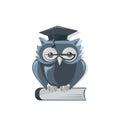 Owl in glasses and a graduate hat on the book. Royalty Free Stock Photo