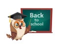 Owl in graduation cap. Back to school Royalty Free Stock Photo