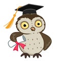 Owl In Graduation Cap