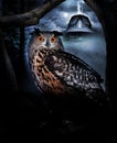 Owl and haunted house Royalty Free Stock Photo