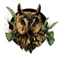 Owl head full face in circle decorated with Calla flowers and leaves