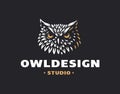 Owl head logo- vector illustration. Emblem design