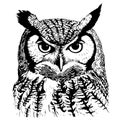 Owl head sketch hand drawn Vector illustration Birds