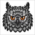 Owl Head - on white. Royalty Free Stock Photo