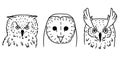 Owl heads in cartoon style. Set of three doodle bird heads